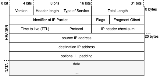 IP datagram